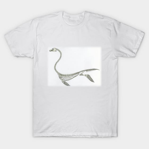 Plesiosaur skelleton T-Shirt by PsychicHuldra